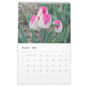 Tulpen het hele jaar door rond de kalender (Feb 2026)