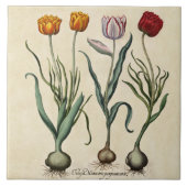  Tulpen Illustratie Geel Roze Rood Tulp Tegeltje (Voorkant)