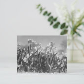 Tulpen in bloei briefkaart (Staand voorkant)