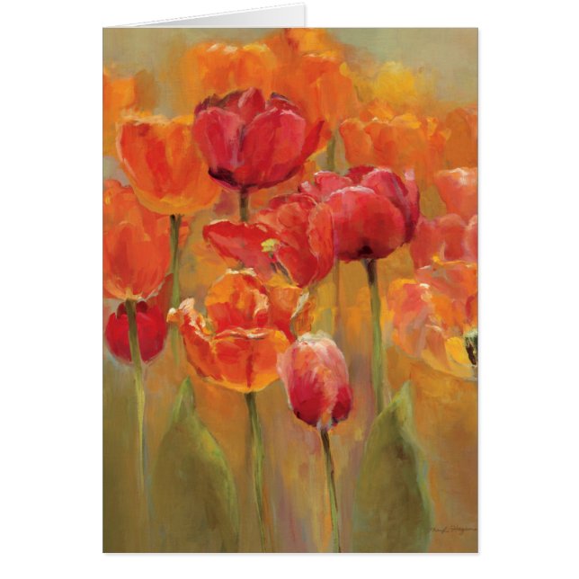 Tulpen in de Midst (Voorkant)