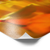 Tulpen in de tuinen van Keukenhof, Amsterdam, 2 Foto Afdruk (Hoek)