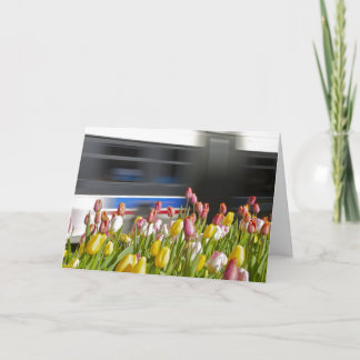 Tulpen in het stadsverstand kaart