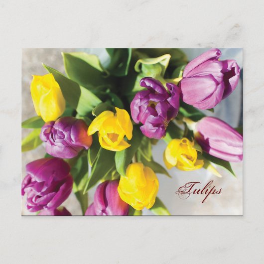Tulpen in het voorjaar briefkaart (Voorkant)