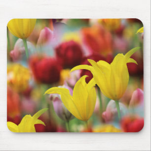 Tulpen in het voorjaar muismat
