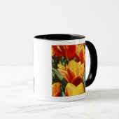 Tulpen in Keukenhof Gardens, Holland. Mok (Voorkant rechts)