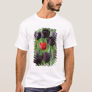 Tulpen in Keukenhof-tuinen, Amsterdam, T-shirt