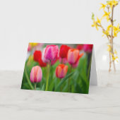 Tulpen Kaart (Gele Bloem)