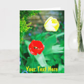 tulpen kaart (Voorkant)