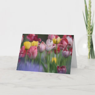 Tulpen Kaart