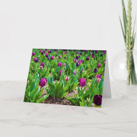 Tulpen, kaart (Voorkant)