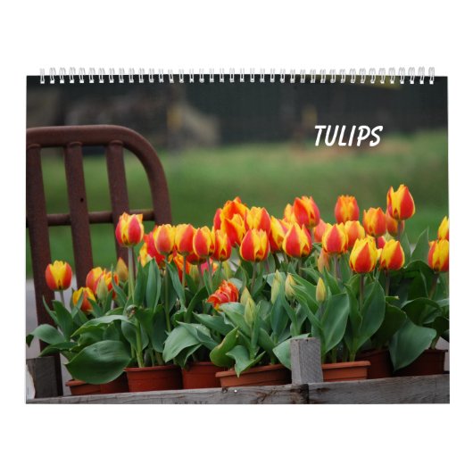 Tulpen Kalender (Hoes)