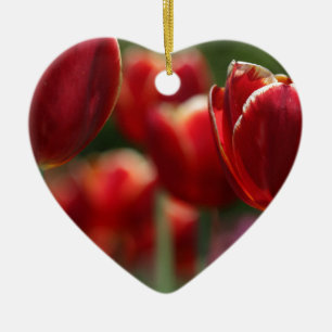 Tulpen Keramisch Ornament