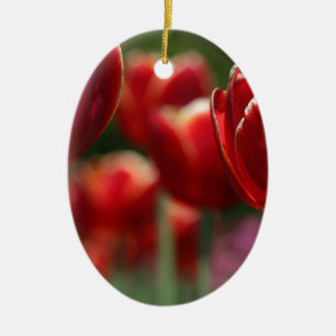Tulpen Keramisch Ornament