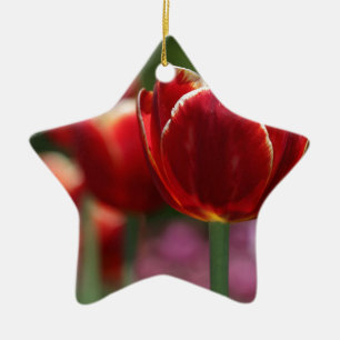 Tulpen Keramisch Ornament