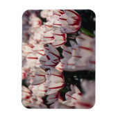 Tulpen Magneet (Verticaal)