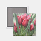 Tulpen Magneet (Voorkant / Achterkant)