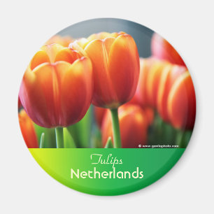 Tulpen Magneet