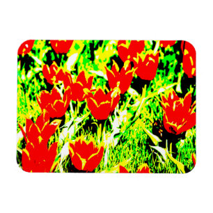 Tulpen Magneet