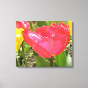 Tulpen met Franjes Canvasprint Canvas Afdruk
