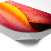 Tulpen met regendruppels poster (Hoek)