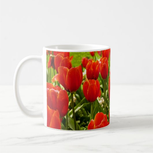 Tulpen mok (Links)