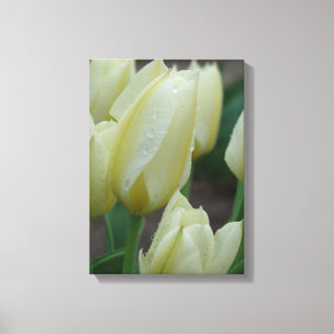Tulpen na regen canvas afdruk