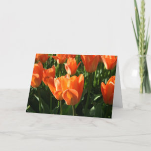 Tulpen NoteCard Kaart