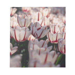 Tulpen Notitieblok