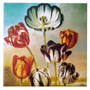 Tulpen onder de hemel Tile Tegeltje