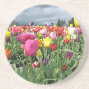 Tulpen Onderzetters