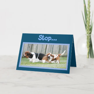 Tulpen op Funny Just Because Kaart met Basset Houn