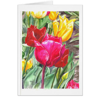 Tulpen op hun best
