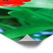 Tulpen Poster (Hoek)