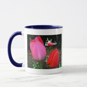 tulpen, regendruppels mok