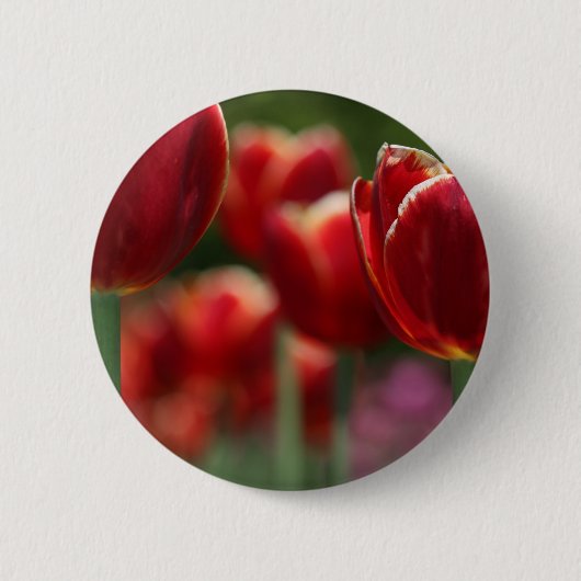 Tulpen Ronde Button 5,7 Cm (Voorkant)