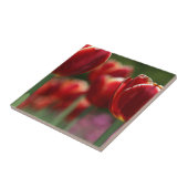 Tulpen Tegeltje (Zijkant)