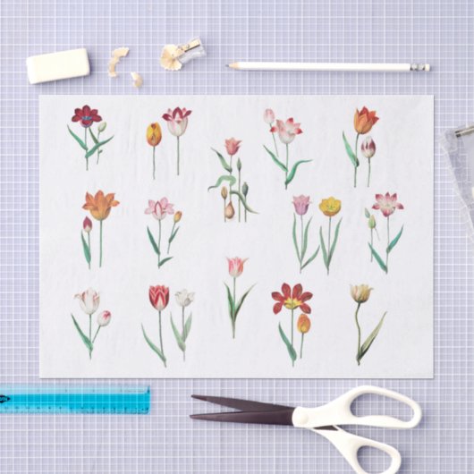 Tulpen Tissuepapier (Craft)