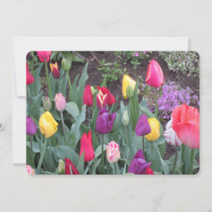Tulpen tuin flat vakantiekaart feestdagenkaart