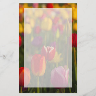 Tulpen, Tulip Festival, Woodburn, Oregon, Verenigd Briefpapier