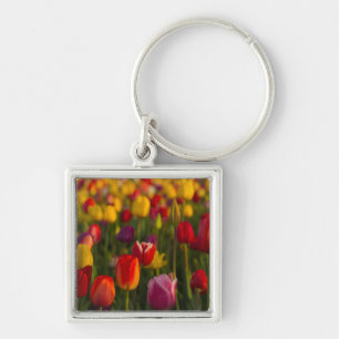 Tulpen, Tulpenfestival, Woodburn, Oregon, VS 2 Sleutelhanger