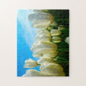 Tulpen uit Amsterdam. Legpuzzel (Verticaal)