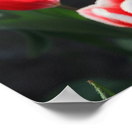 Tulpen uit Amsterdam Poster (Hoek)