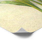 Tulpen van Catherine Klein Poster (Hoek)