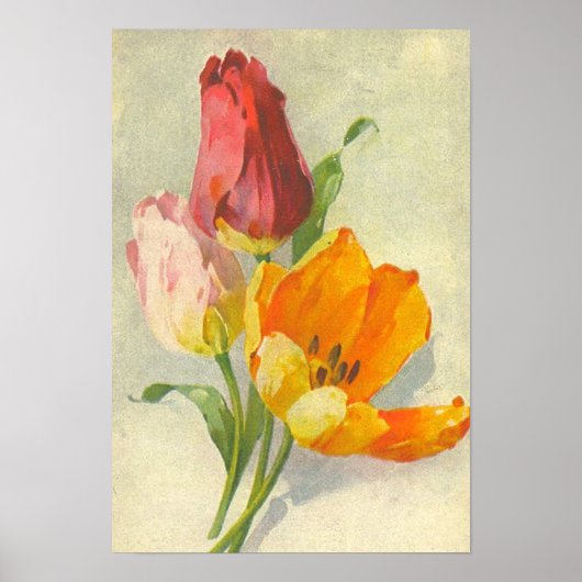 Tulpen van Catherine Klein Poster (Voorkant)