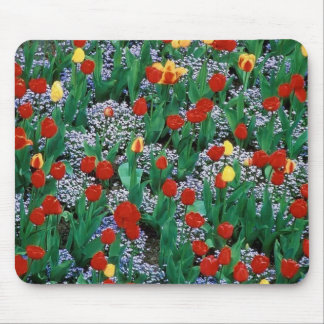 tulpen van TDGallery Muismat