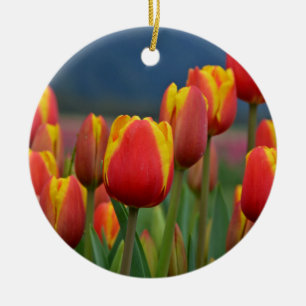 Tulpen voor mam keramisch ornament
