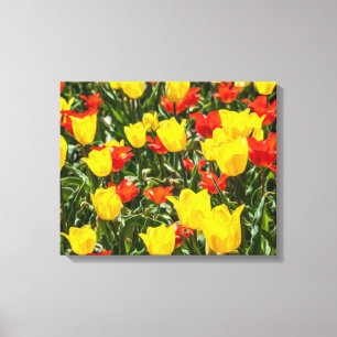 Tulpen voor rood en geel canvas afdruk