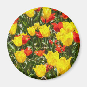 Tulpen voor rood en geel magneet