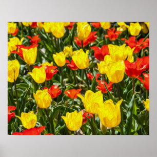 Tulpen voor rood en geel poster