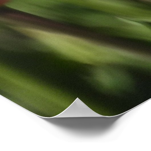 Tulpen voor rood en wit en roze poster (Hoek)